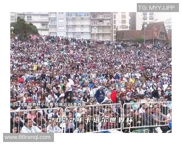 足球扇形图解析各队战绩与球迷支持度的关系探讨