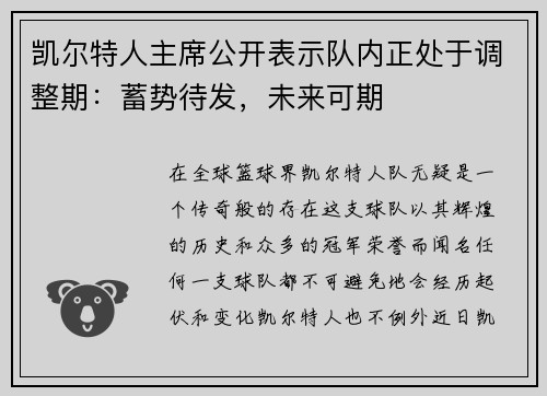 凯尔特人主席公开表示队内正处于调整期：蓄势待发，未来可期